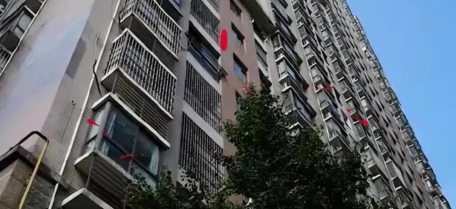 骨灰小区（骨灰小区的视频）