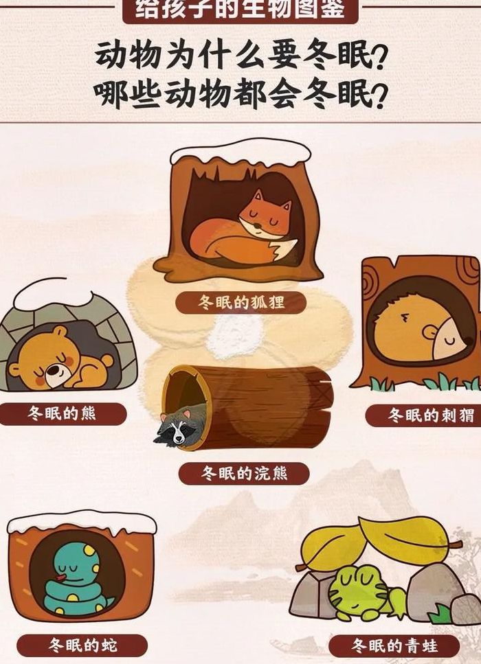 那些动物冬眠（那些动物冬眠和方式）