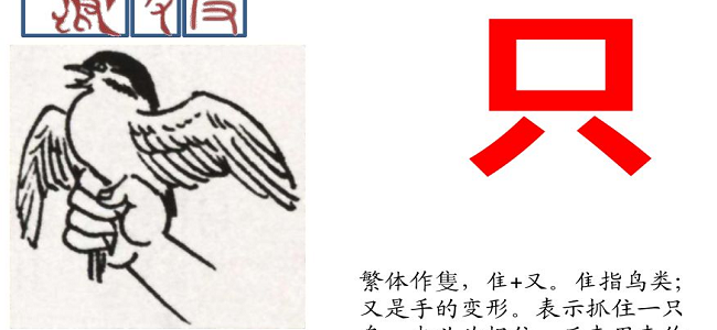 鸟字旁的字和什么有关（鸟字旁的字和什么有关联）
