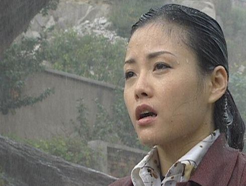 又见花开（又见花开电视剧）