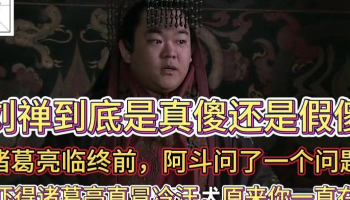 刘禅其实不傻（刘禅其实不傻是什么歌）