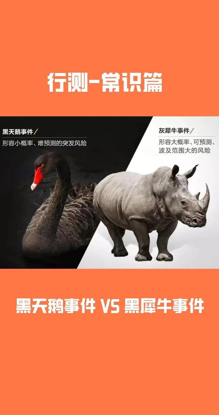 灰犀牛事件（灰犀牛和黑天鹅指什么）