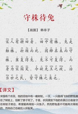 小学关于兔子的古诗（播放关于兔子的诗）