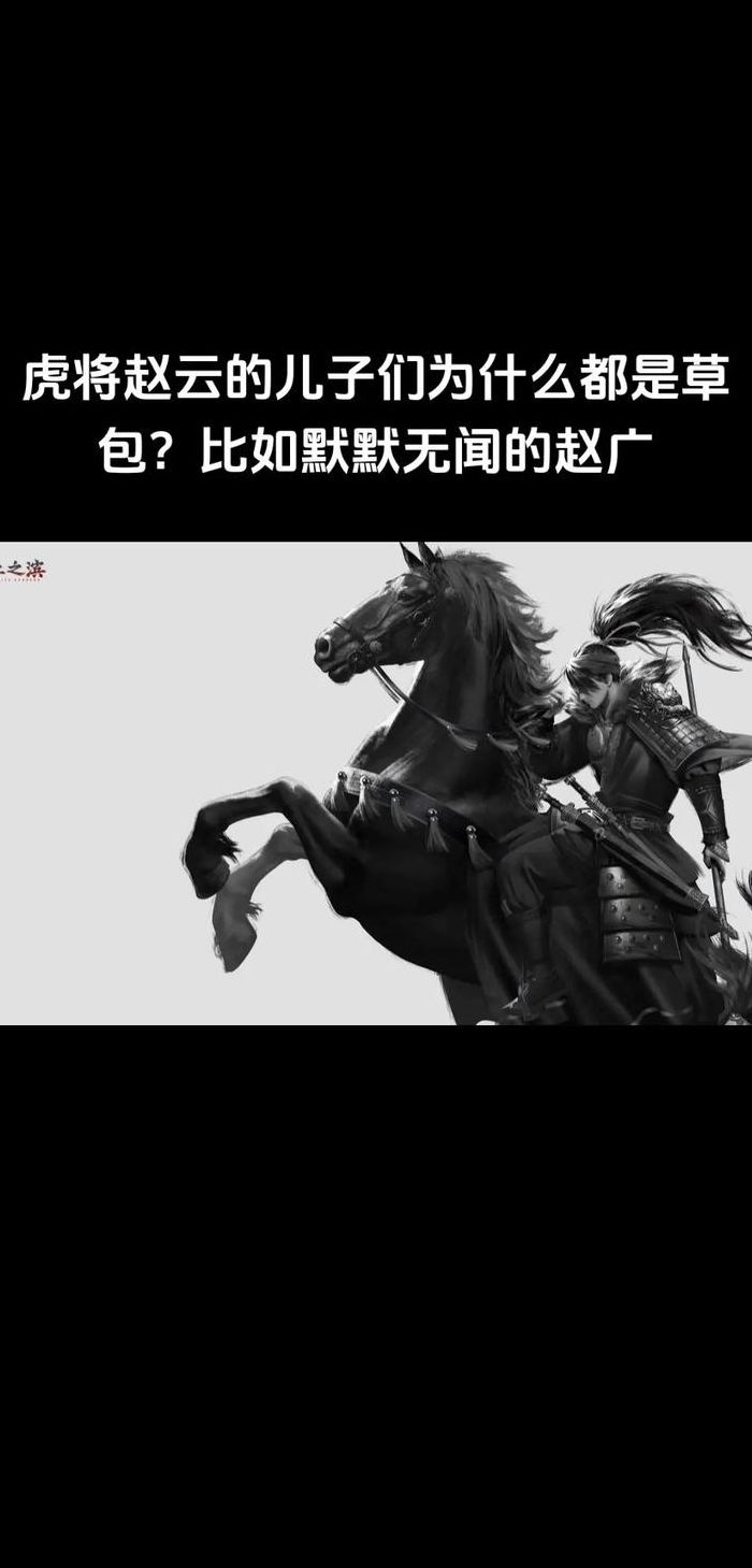 赵云儿子（赵云儿子年龄）