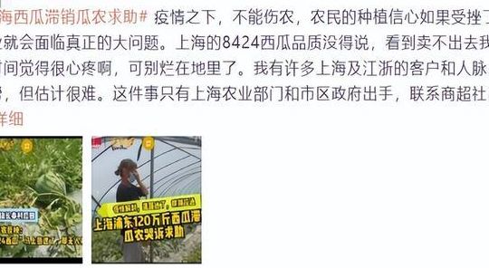包含上海120万斤西瓜滞销瓜农哭诉的词条