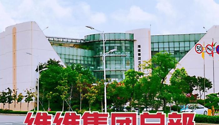 维维乳业（维维乳业有限公司和维维集团是什么关系）