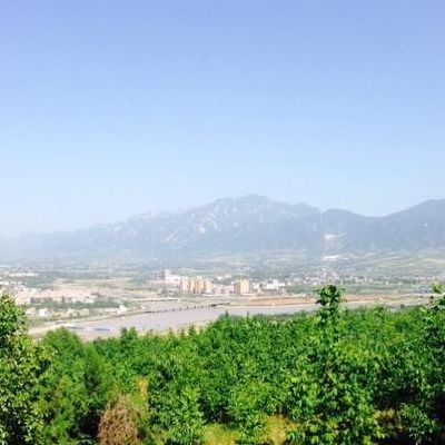 白鹿原樱桃（白鹿原樱桃谷景区）