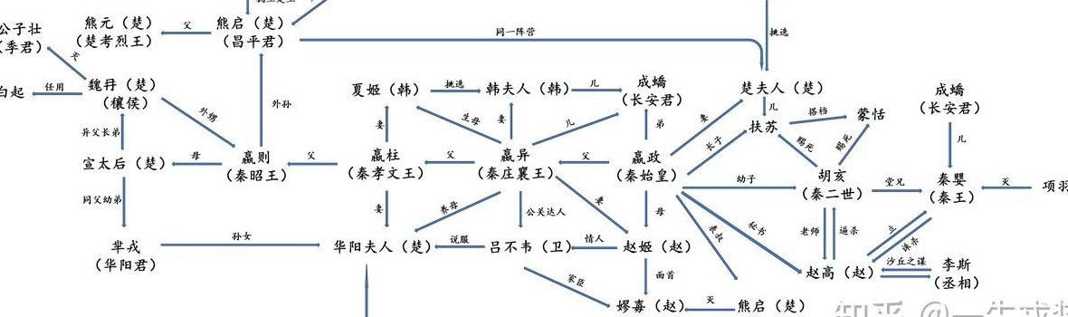 网秦天下（小说秦天下人物介绍）