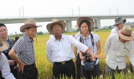 谢华安和袁隆平（谢华安院士和袁隆平院士）