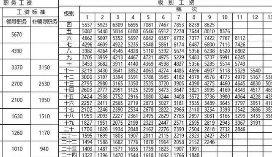 公务员加工资（2024年公务员加工资）