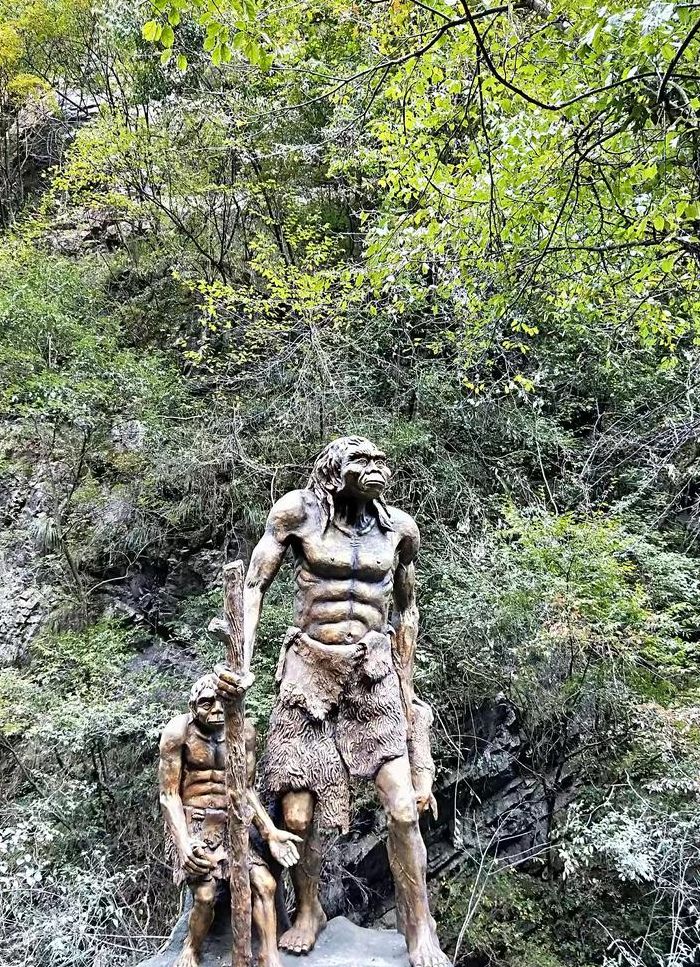 神农架野人之谜（神农架野人之谜全记录）