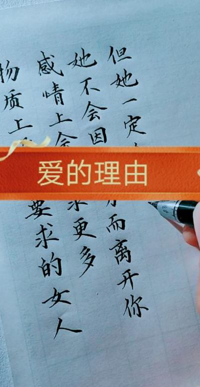 爱你的理由（爱她的理由）
