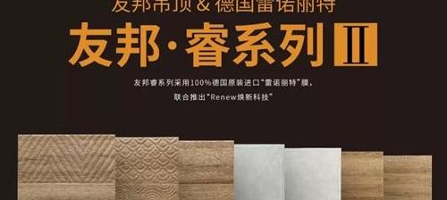 友邦睿系列（友邦hq001）