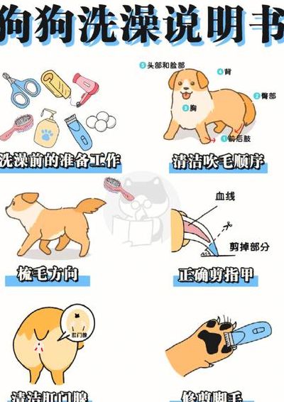 多长时间洗一次澡（狗狗多长时间洗一次澡）