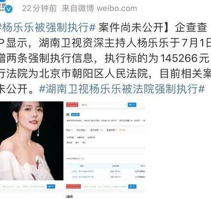 杨乐乐被强制执行是什么意思（杨乐乐被法院强制执行）