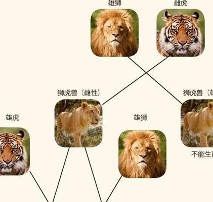 杂交动物的简单介绍