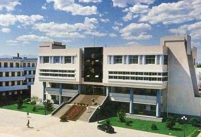 东北大学秦皇岛分校图书馆（东北大学秦皇岛分校图书馆馆长）