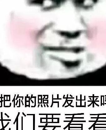 发张照片看看（发张照片看看表情包）