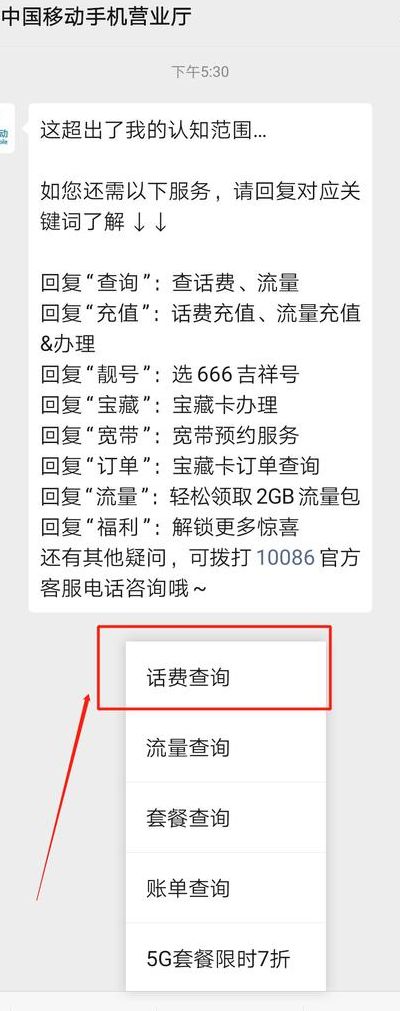 吉林移动话费查询（吉林移动怎么查话费）