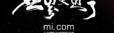 小米域名（小米域名保护）