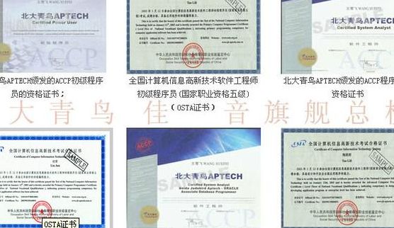 北大青鸟网络工程师（北大青鸟网络工程师证书丢了怎么办）