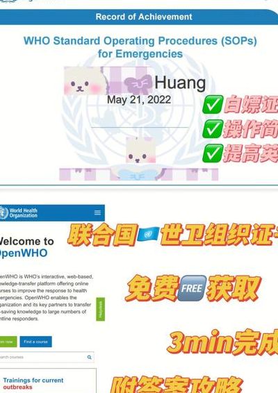 OPENWHO官方入口（openwhat）