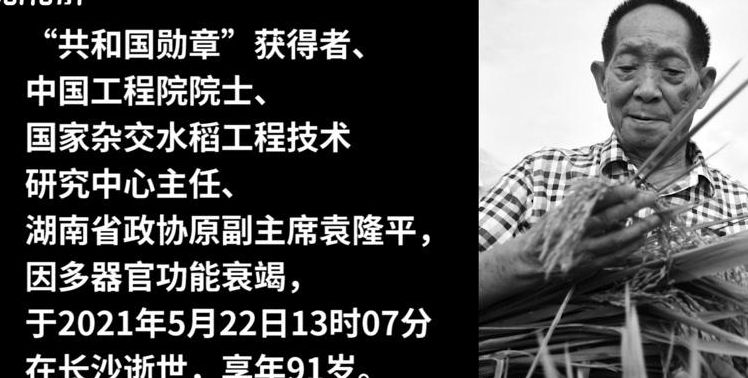 联合国发文悼念袁隆平（联合国悼念袁隆平国士无双,一路走好）
