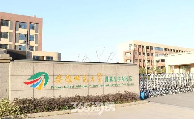 安师大附小（安师大附小哪个校区最好）