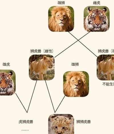生殖隔离（生殖隔离是什么意思）