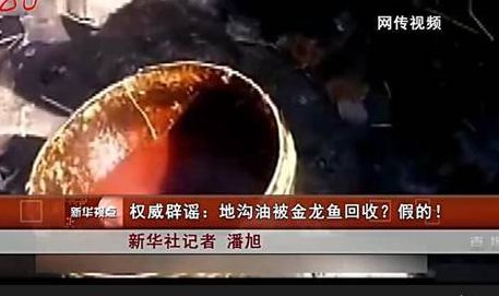 金龙鱼地沟油事件（金龙鱼地沟油事件记者惨死）