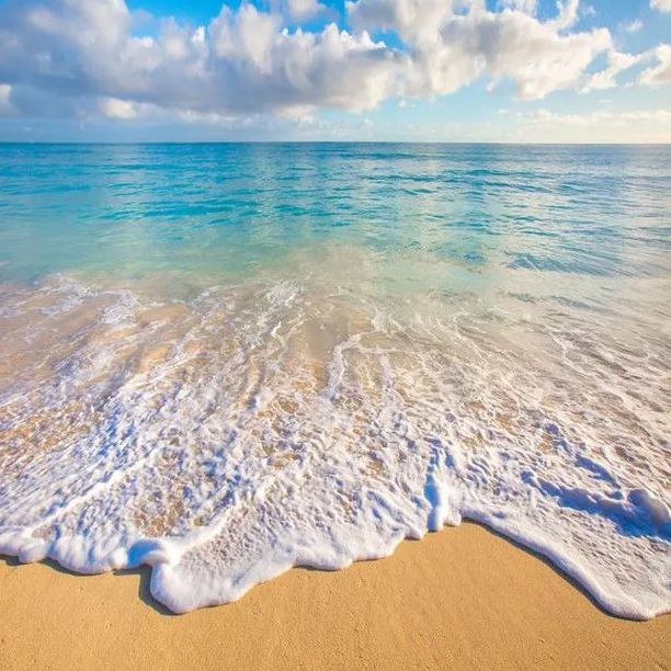 海边直播（海边直播背景图）