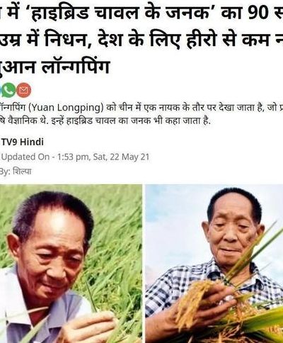 包含袁隆平怎么死的的词条