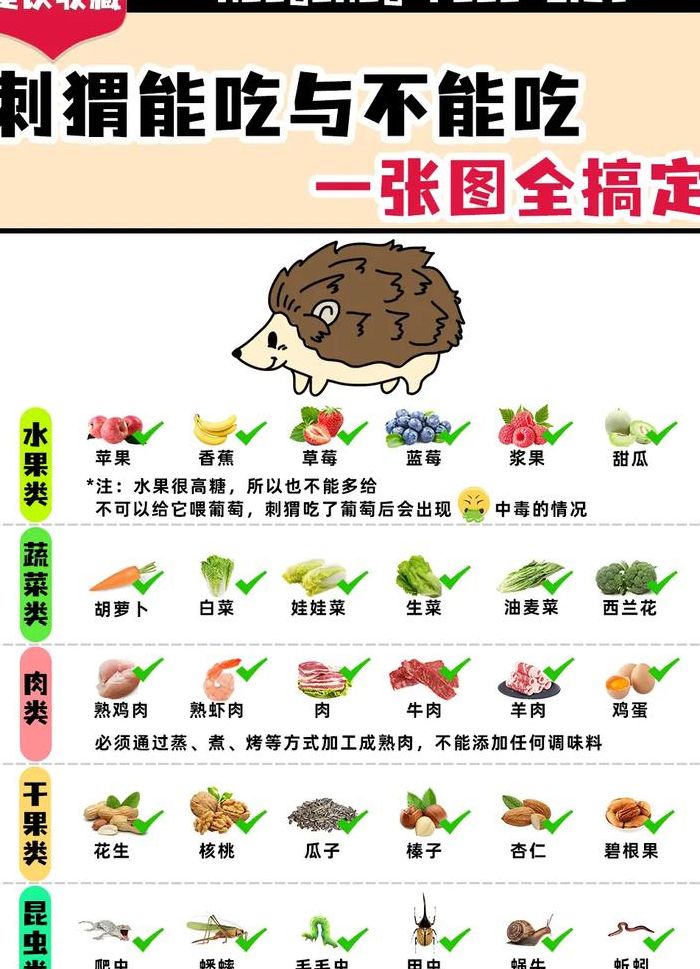 刺猬吃什么东西（刺猬吃什么东西的?）