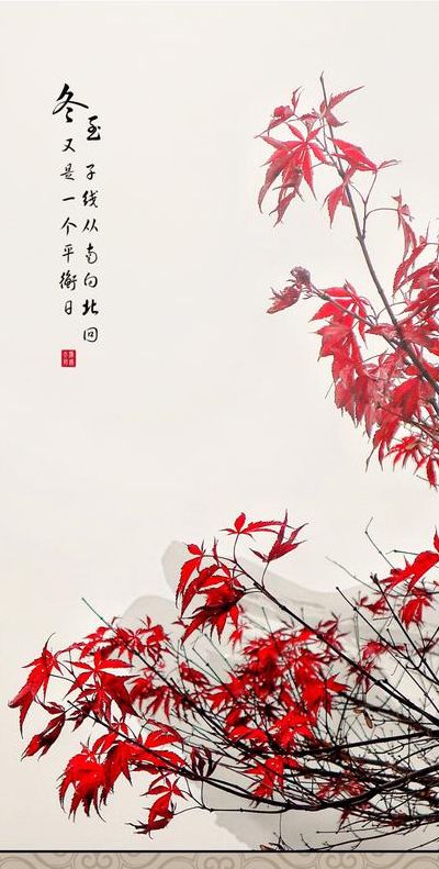 枫香晚花静（枫香晚花静,锦水南山影打数字）