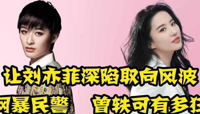 刘亦菲曾轶可（刘亦菲曾轶可事件）