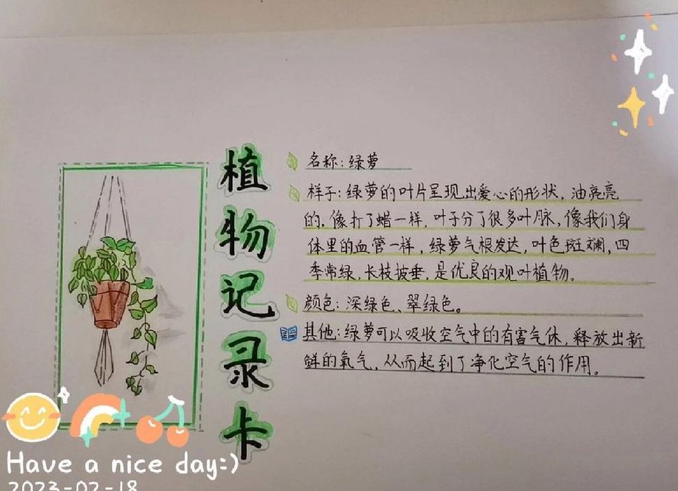 三年级植物记录卡(植物记录卡三年级怎么写？)