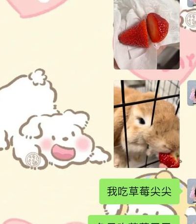 男朋友为什么老是爱吸小兔子(兔子为什么在你身上踩奶？)