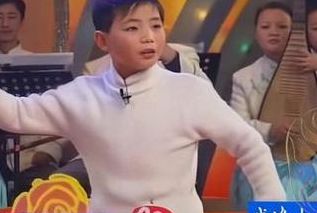 秦之声少儿大叫板(2006杨荣少儿秦腔戏迷大叫板周决赛？)
