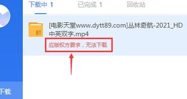 迅雷 无法下载(迅雷不能下载是什么原因？)