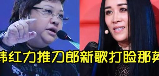 韩红评价那英十六字(韩红对那英的唱功怎么评价？)