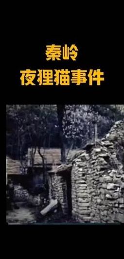 夜狸猫(大家都觉得哪个都市传说最恐怖呢？)