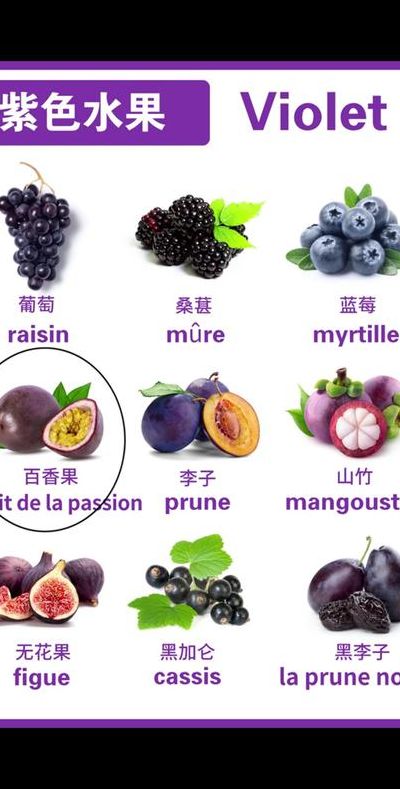 葡萄的单词怎么读（葡萄的单词怎么读音发音）