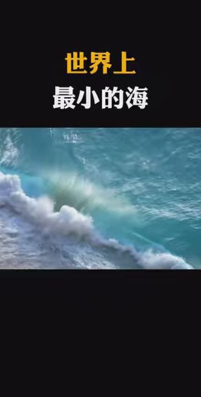 世界最小的海（世界最小的海 陈泽）
