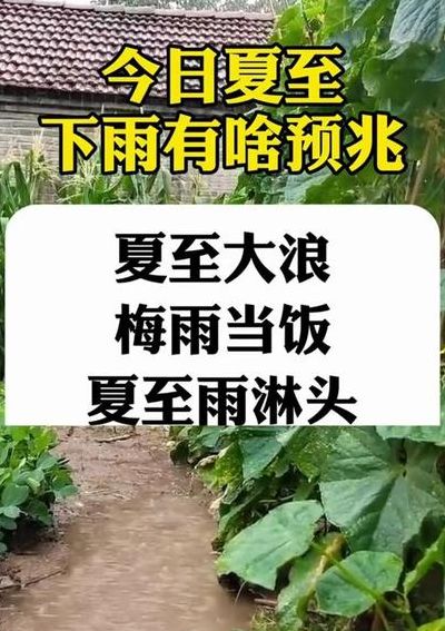 夏至下雨有什么说法（夏至下雨有什么说法嘛）