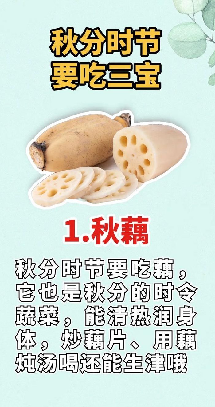 秋分的风俗食物（秋分时节的食物）