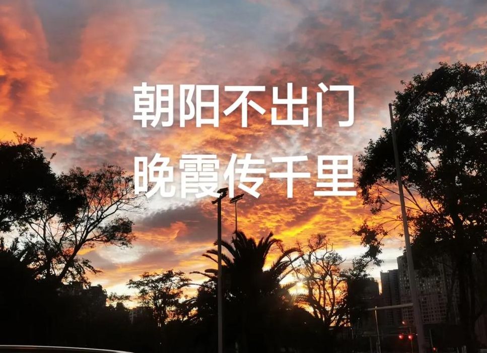 朝霞不出门晚霞行千里是什么意思的简单介绍