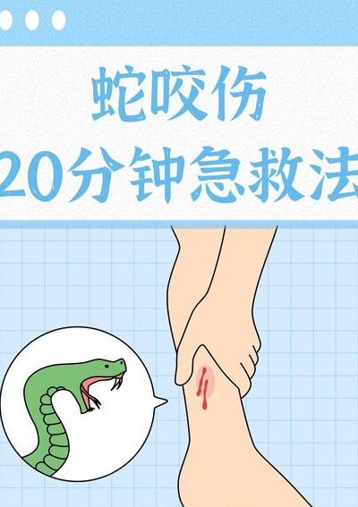 遇到蛇的正确处理办法（遇到蛇有什么办法解决）