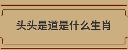 头头是道的打一正确生肖（头头是道指什么生肖）