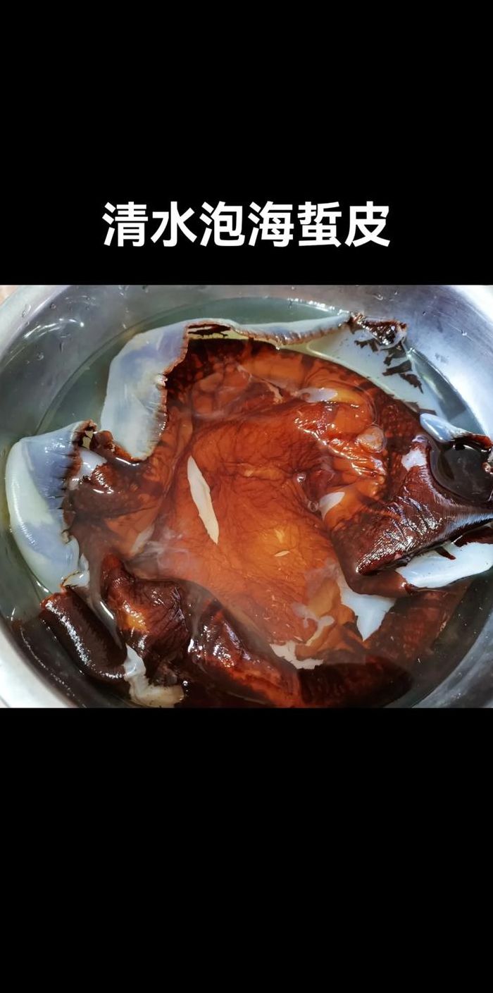 海蜇怎么吃（海蜇怎么吃好吃又简单）