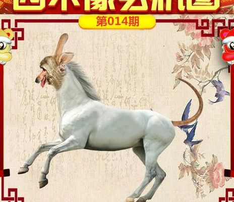 偷走龙种不认账（偷龙转风指什么生肖）